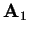 $\mathbf{A}_{1}$
