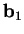 $\mathbf{b}_{1}$
